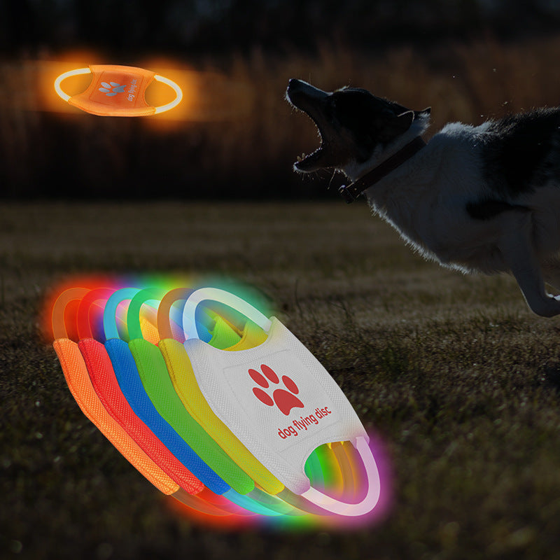 LED Light Up Dog Frisbee - Rechargeable & Durable Pet Toy