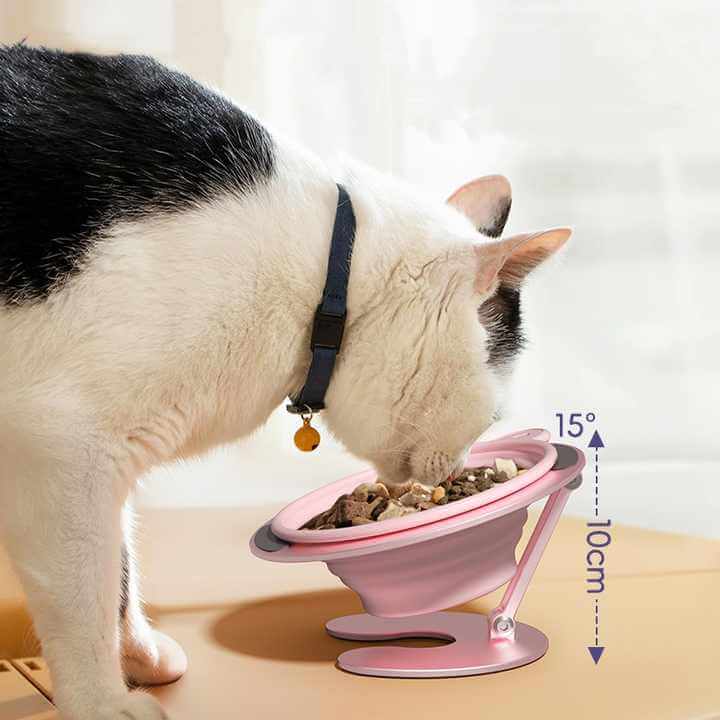 Foldable Elevated Pet Bowl Set - Tilted Ergonomic Cat Feeder with Aluminum Stand & Silicone Bowl