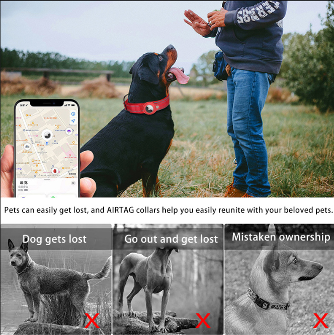 Purple Secure Nylon Dog Collar with Built-in Apple AirTag (not included) Holder Case - Pet Tracker Accessory
